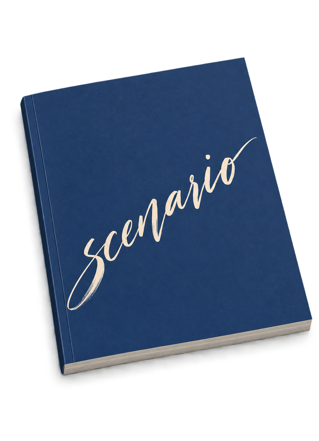 SCENARIO SCRIPT 표지
