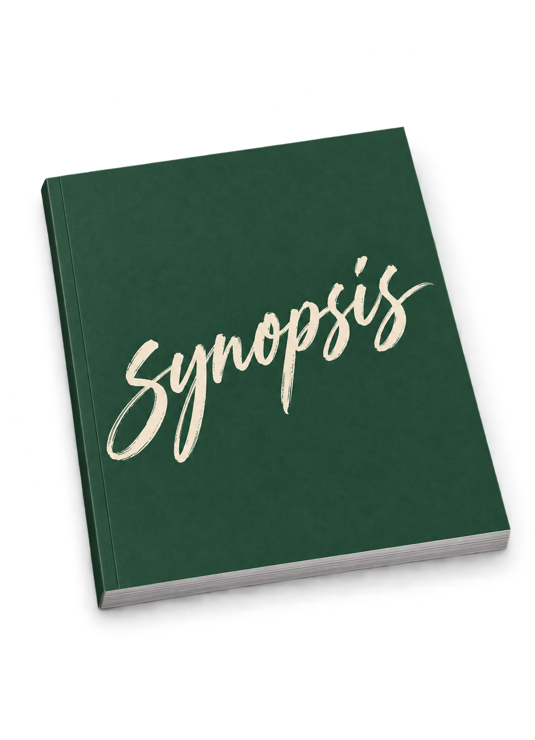 SYNOPSIS SCRIPT 표지